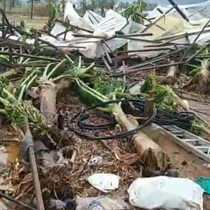 δεν άφησε τίποτα όρθιο η κακοκαιρία