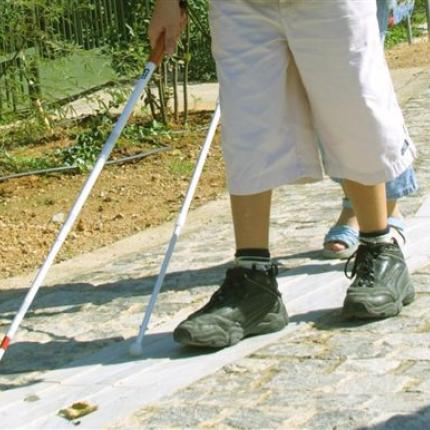 Στο Κέντρο Εκπαίδευσης και Αποκατάστασης Τυφλών το Βραβείο "Ευρωπαίου Πολίτη 2014"