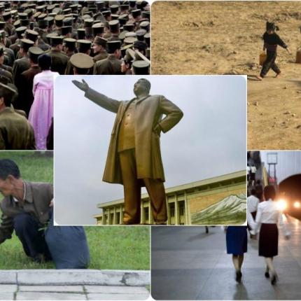kim22-768x599.jpg