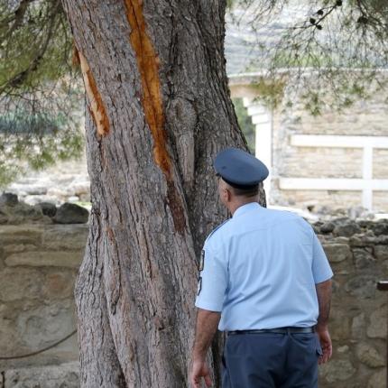 κνωσός κεραυνός