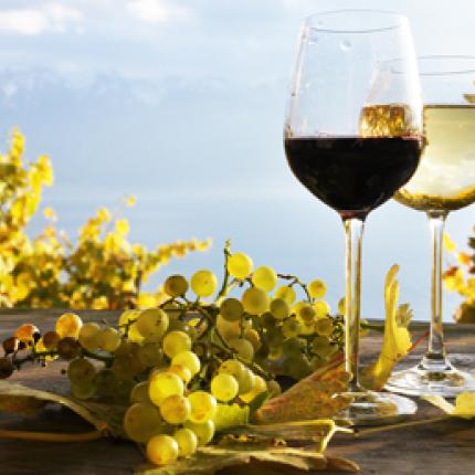 Δύσκολη η φετινή χρονιά για το ελληνικό κρασί - Στο 15% η μείωση της παραγωγής