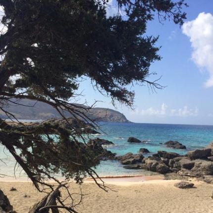 Ύμνοι για μία παραλία - παράδεισο στην Κρήτη
