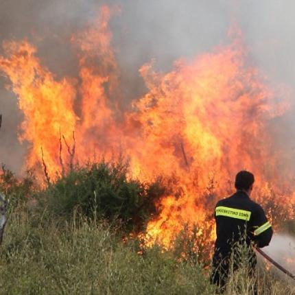 Συναγερμός από πυρκαγιά στην Κρυά Σητείας