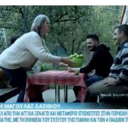 Ξεναγός