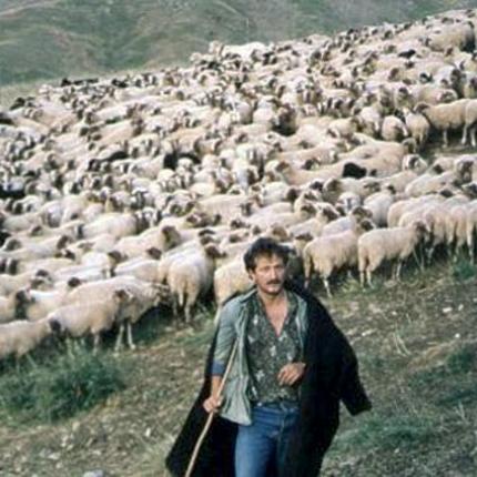 Λύσεις για τους κτηνοτρόφους που δεν έλαβαν εξισωτική αποζημίωση ζητά ο Λ. Αυγενάκης 