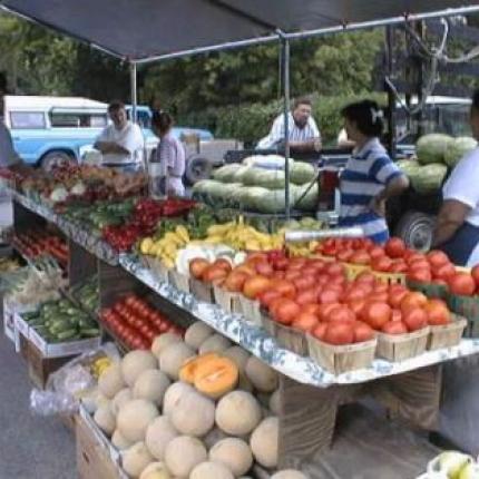 Κλιμακώνονται οι ενέργειες για να μην ξεπουληθεί η παραλία του Καρτερού