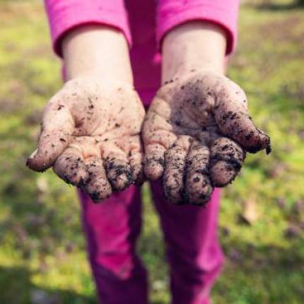 let-your-kid-eat-dirt.jpg