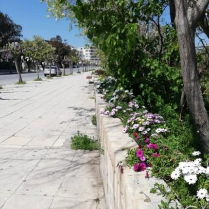 Όμορφες εικόνες με τα ανθισμένα λουλούδια