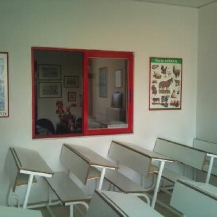 mainschinside.jpg