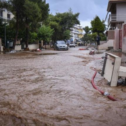 Μάνδρα