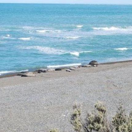 Νεκρός ένας 39χρονος στα Χανιά που έκανε τις διακοπές του