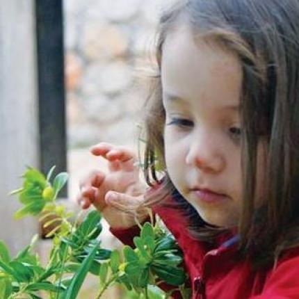 μελίνα παρασκάκη