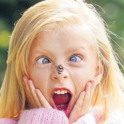 Που πονάει περισσότερο το τσίμπημα της μέλισσας;