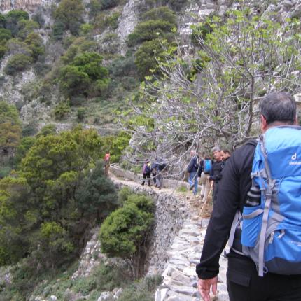 φαραγγι μεσωνα.jpg