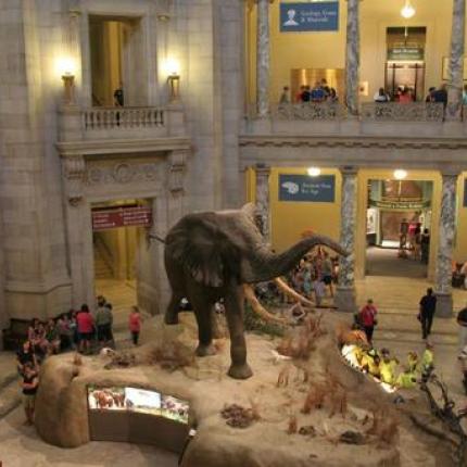 μουσειο φυσικης ιστοριας κρητης