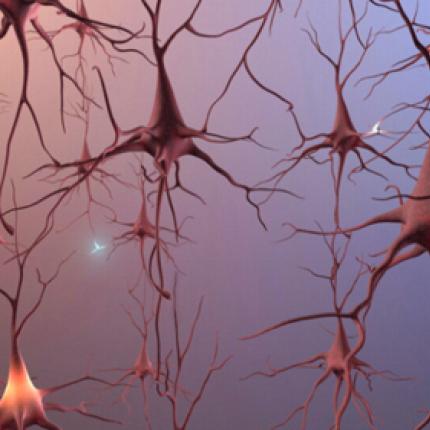 Αναπαρήγαγαν κύτταρα με Αλτσχάιμερ