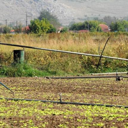 Την Παρασκευή οι αποζημιώσεις από τον ΕΛΓΑ