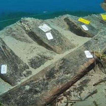 Το ισπανικό ναυάγιο στη Ζάκυνθο έδωσε εντυπωσιακά ευρήματα