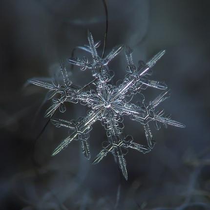 νιφάδα χιονιού