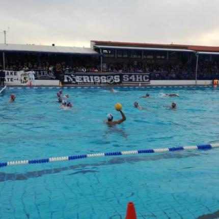 ofi_polo.jpg