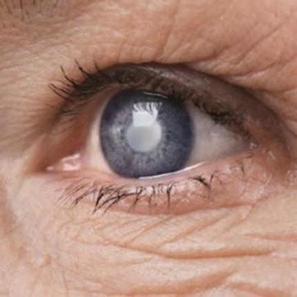orash-592x330.jpg