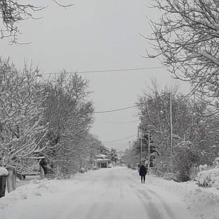οροπέδιο χιόνια 2019
