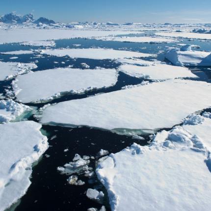 πάγοι γροιλανδία