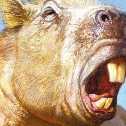 Μεγάλο σα... βούβαλος το μεγαλύτερο τρωκτικό που περπάτησε ποτέ στη Γη