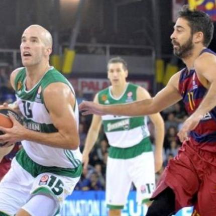 pao_basket.jpeg