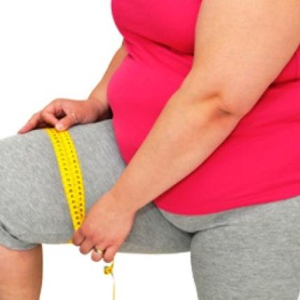 παχυσαρκος