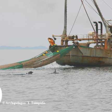 Αλιείς και Αρχιπέλαγος στο Υπουργείο για τα προβλήματα της Ελληνικής Αλιείας‏