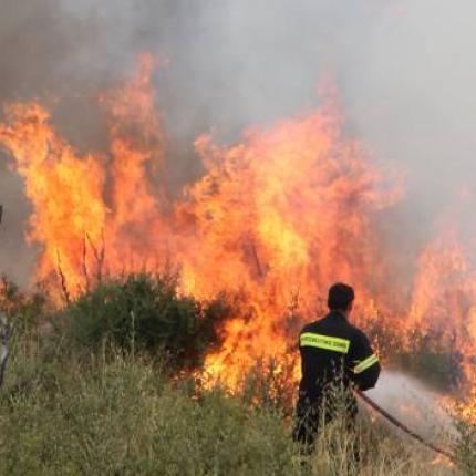 Μεγάλη η καταστροφή από τη φωτιά στο Αντισκάρι 