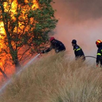 Υπό πλήρη έλεγχο η πυρκαγιά που απείλησε ξενοδοχεία στον Πλατανιά