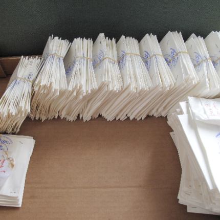 Τέταρτη γιορτή ανταλλαγής ντόπιων ποικιλιών στις Αρχάνες