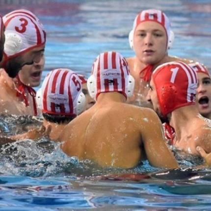 polooly.jpeg