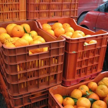 Διανομή πορτοκαλιών στις τρίτεκνες οικογένειες του Δήμου Βιάννου 