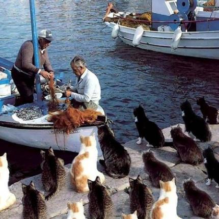 Μακριά από τον "προεκλογικό πυρετό"