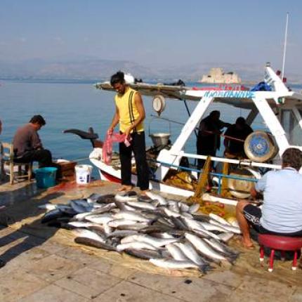 Μ. Δαμανάκη: Ευνοημένοι απο τη νέα αλιευτική πολιτική οι μικροί ψαράδες 