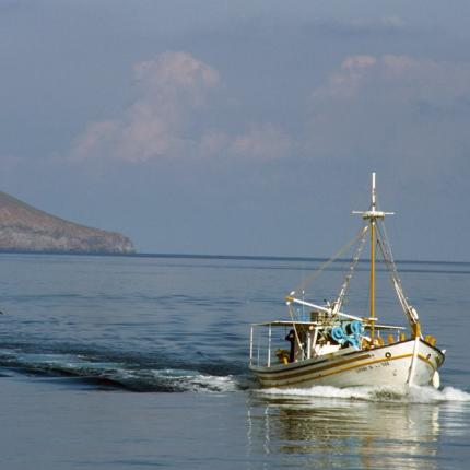 Συνάντηση στην Περιφέρεια Κρήτης για την αντιμετώπιση προβλημάτων στην αλιεία