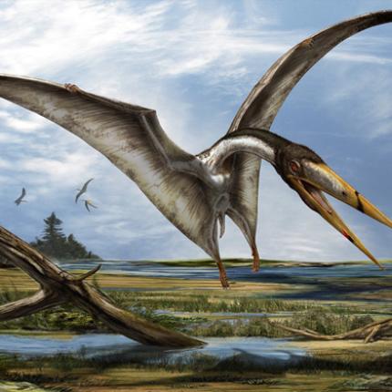 πτεροσαυροι