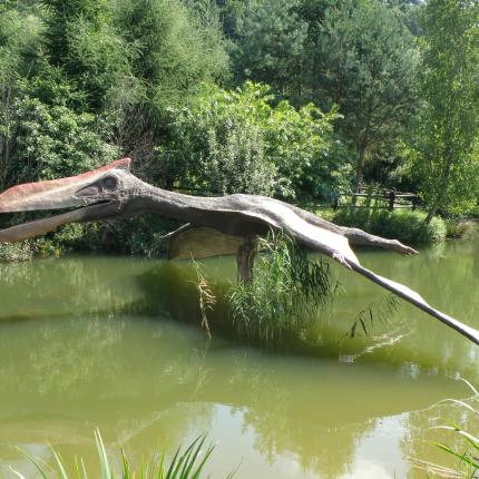 Ανακαλύφθηκε Πτερόσαυρος 163 εκατομμυρίων ετών