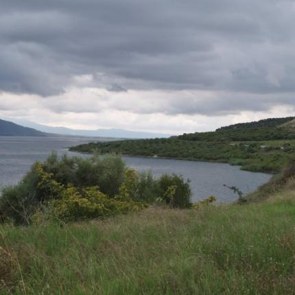 μικρή Βόλβη