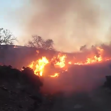 Φωτό αρχείου