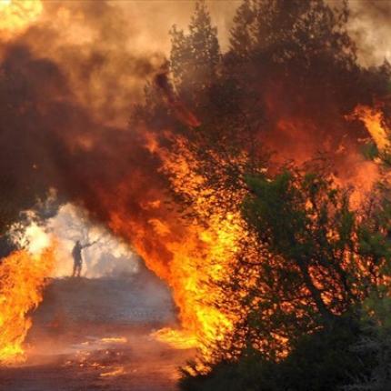 Φωτιά στα Περάμπελα Αγίου Νικολάου