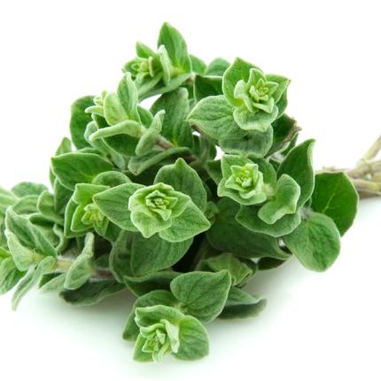 10 λόγοι για να φυτέψεις ρίγανη στη γλάστρα