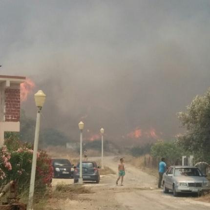 rodos,fwtia