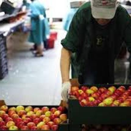 Αίρεται το ρωσικό εμπάργκο για ορισμένα τρόφιμα από δυτικές χώρες