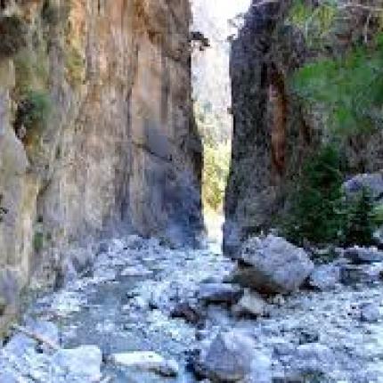 samaria.jpg