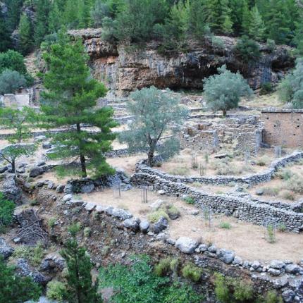 Σαμαριά