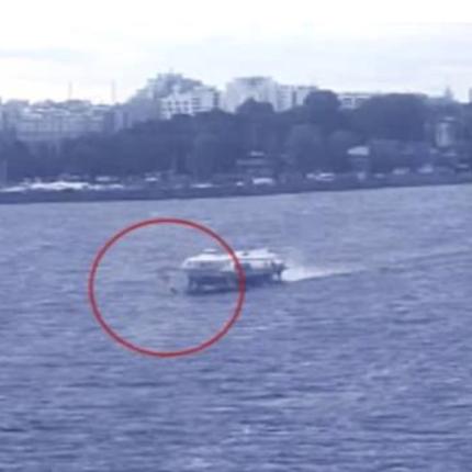 seff-n1.jpg